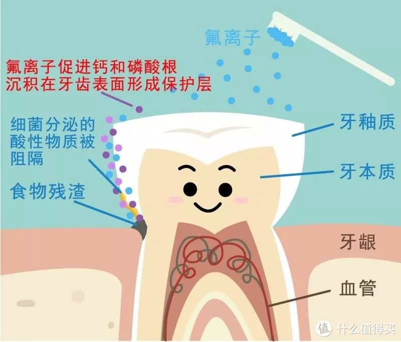 健康生活，从齿开始——关于儿童口腔护理问题的八个问答及相关好物推荐