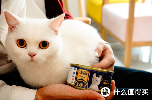 猫咪零食怎么选，2021猫零食品牌排行榜