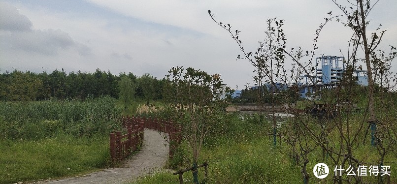 这是一个无人知道的小岛公园（在这里发现了理想的家园）徐汇闵行景联路