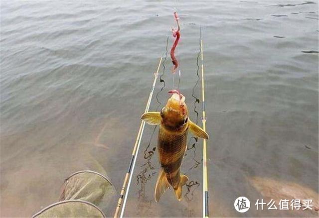 江河中野钓黄颡鱼，环境和特性缺一不可，3大要素助你渔获满满