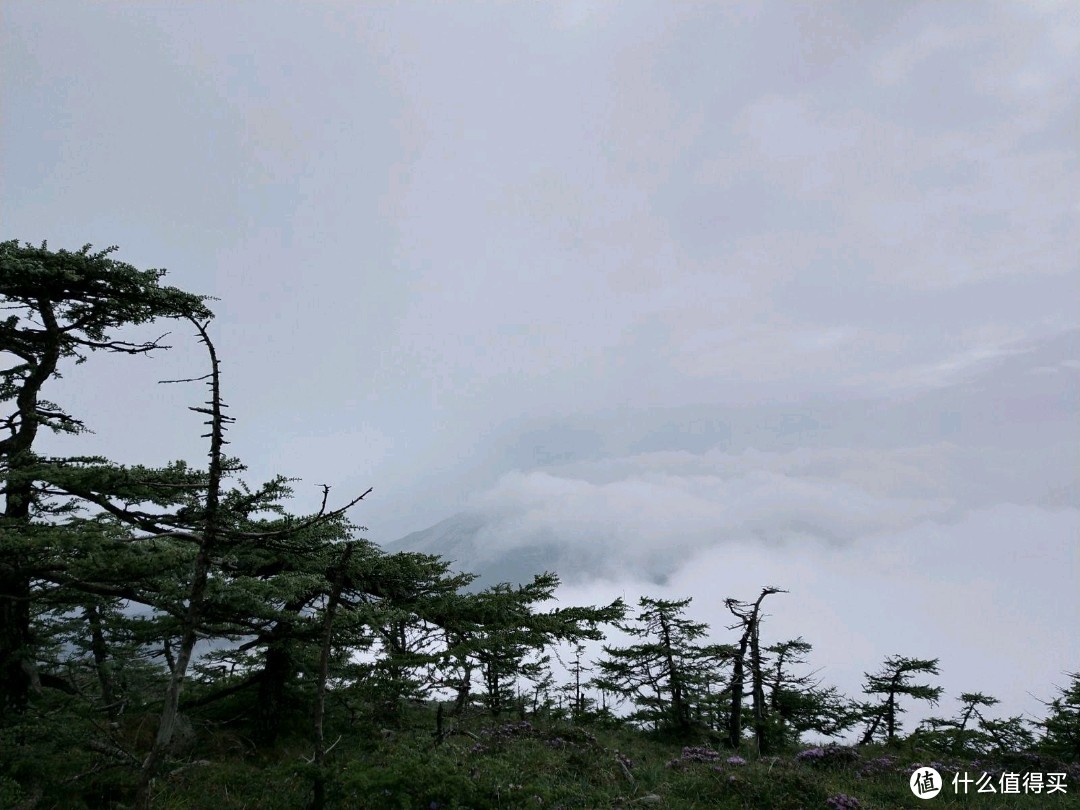 鳌太，梦结束的地方