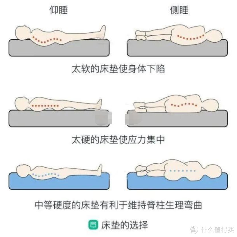 最强芝华仕的铁杆粉带你选购芝华仕家具