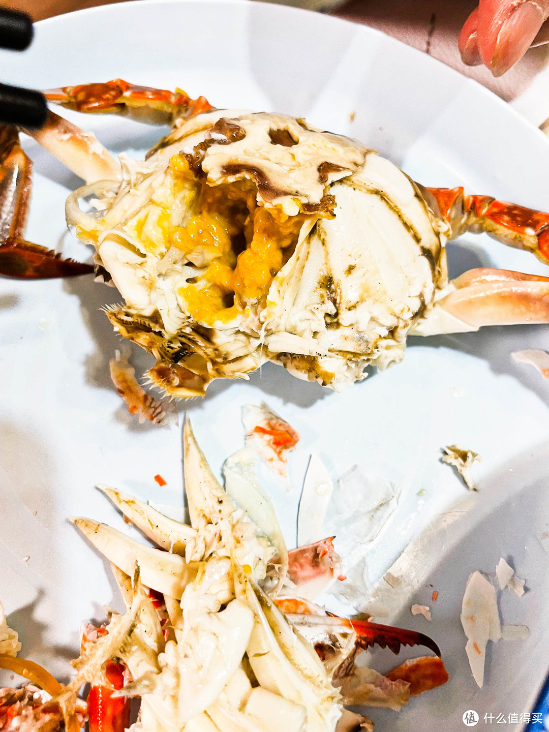 “七长八团”秋吃蟹，你真的挑吃螃蟹吃螃蟹吗？