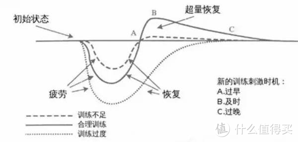 筋膜枪就是暴利智商税？四款横测告诉你真相