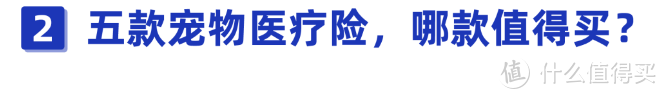 铲屎官比看！宠物看病太费钱？花几十块就能解决这个问题，别还不知道