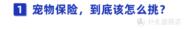 铲屎官比看！宠物看病太费钱？花几十块就能解决这个问题，别还不知道