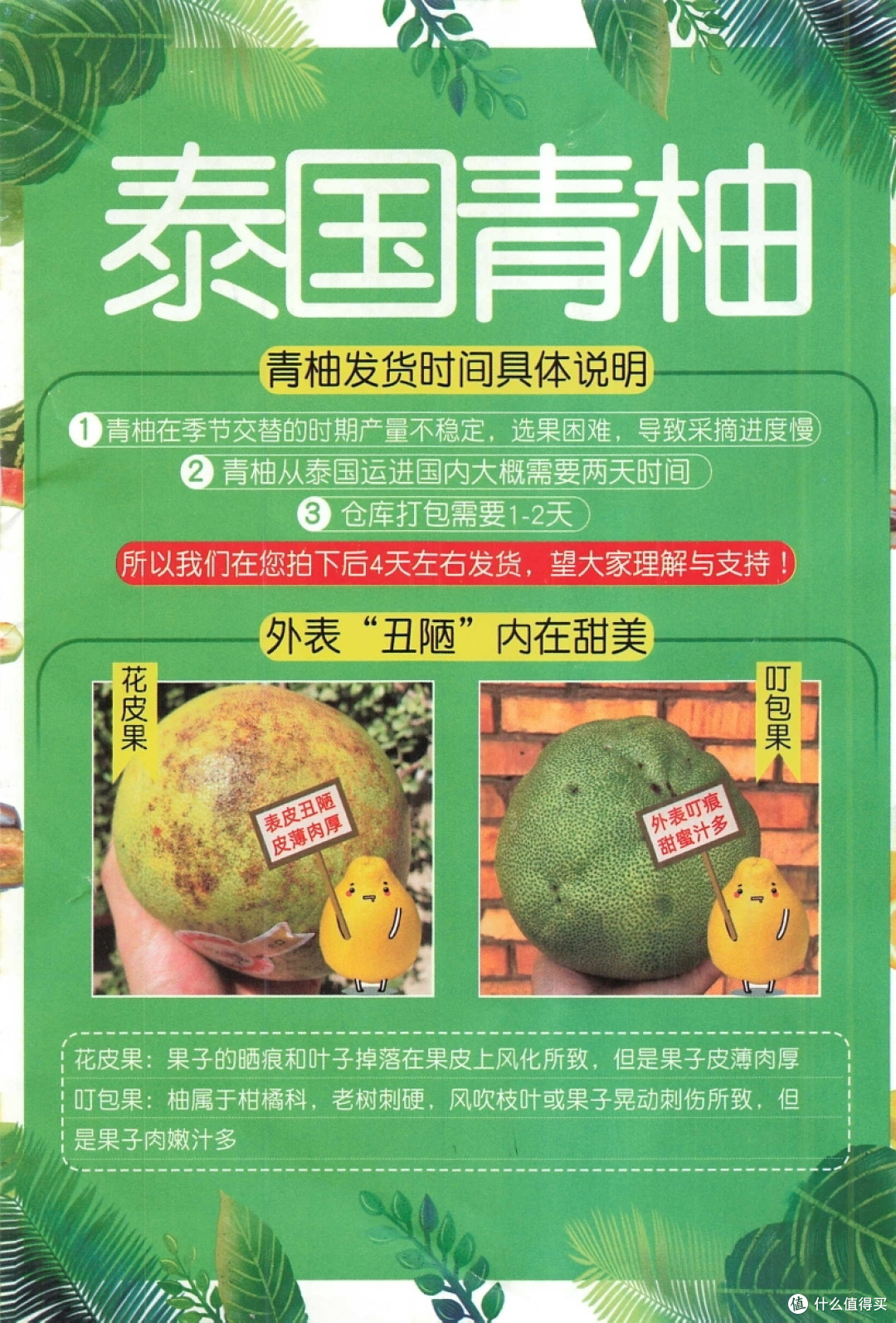 新奇水果篇二十八 泰国来的柚子 味道果然不一样 吃起来像荔枝的口感 这个柚子大不同 新鲜水果 什么值得买