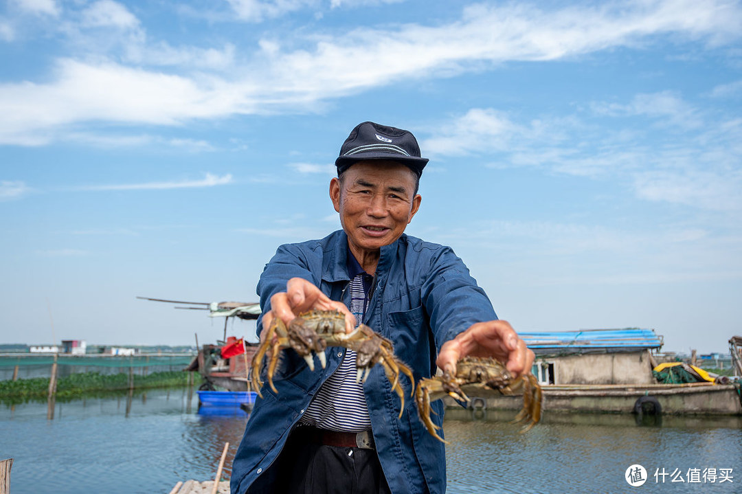 阳澄湖大闸蟹，如何辨别真伪？蟹农教你5个技巧，让假货无处可藏