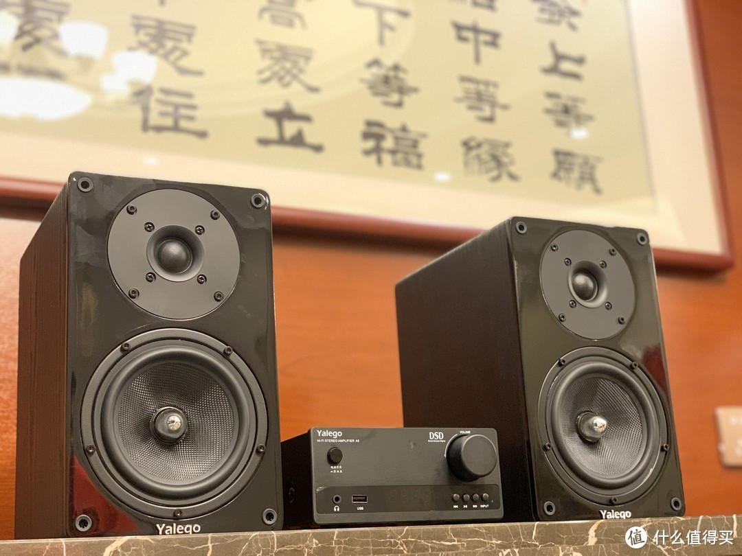 雅乐狗（Yalego）A5 hifi功放机入门级hifi解码器功放就选ta