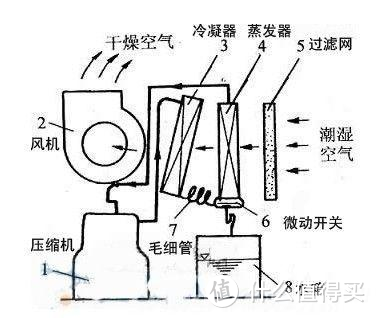 湿到长蘑菇怎么办？除湿技巧大放送（附单品实测）