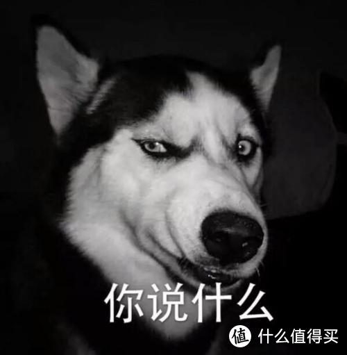 狗狗品种科普｜汪界会闪现的“灵缇犬”是什么狗