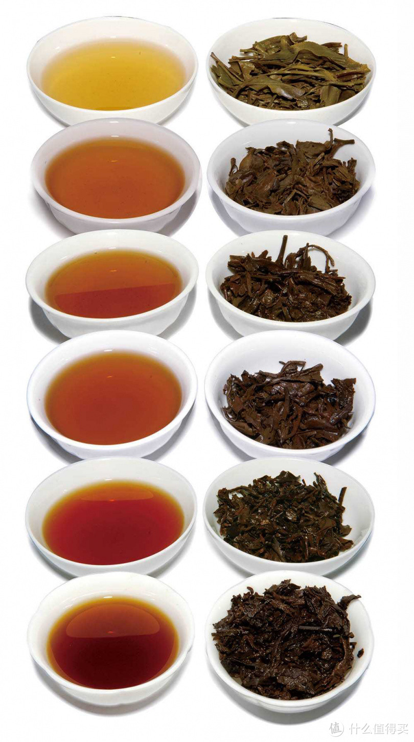 普洱生茶经过岁月陈放自然发酵后，会呈现各种不同的色泽变化，图最上为10年生茶，最下方的生普则有70年历史。
