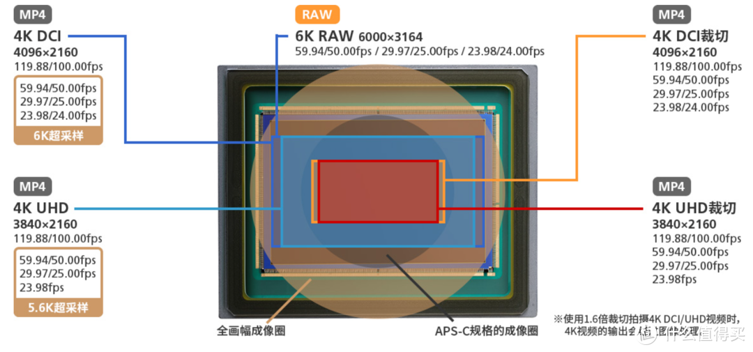 佳能发布全画幅专微相机EOS R3，30张/秒高速连拍、6K 60P RAW短片拍摄、8级抖动补偿