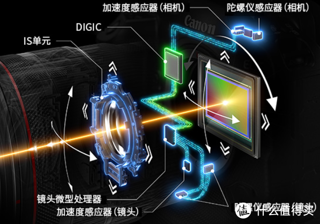 佳能发布全画幅专微相机EOS R3，30张/秒高速连拍、6K 60P RAW短片拍摄、8级抖动补偿