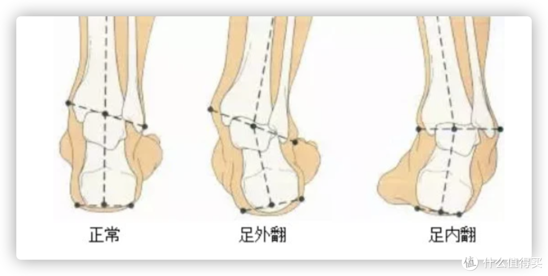 选鞋不求人——这篇文章告诉你跑鞋到底怎么选