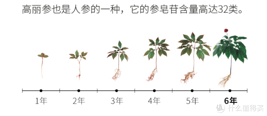 中秋节滋补品送礼攻略：送伴侣、送朋友、送长辈，投喂精准更显用心