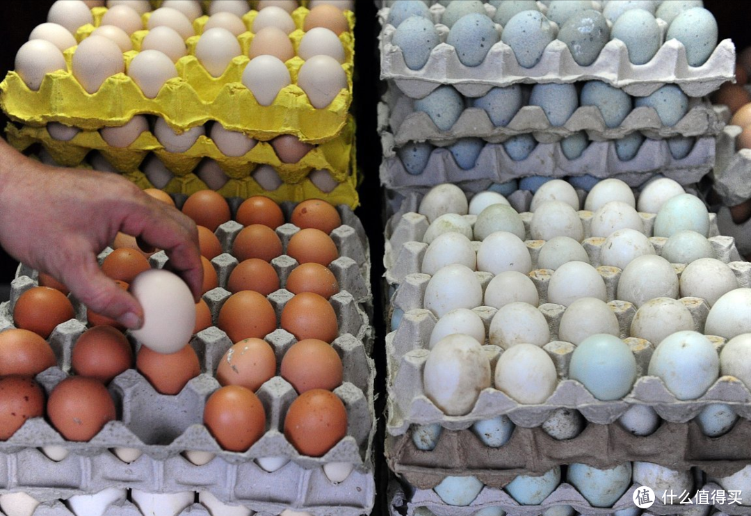 中秋节买鸡蛋，遇到红皮和白皮怎么选？养殖户说漏嘴，可别买错了