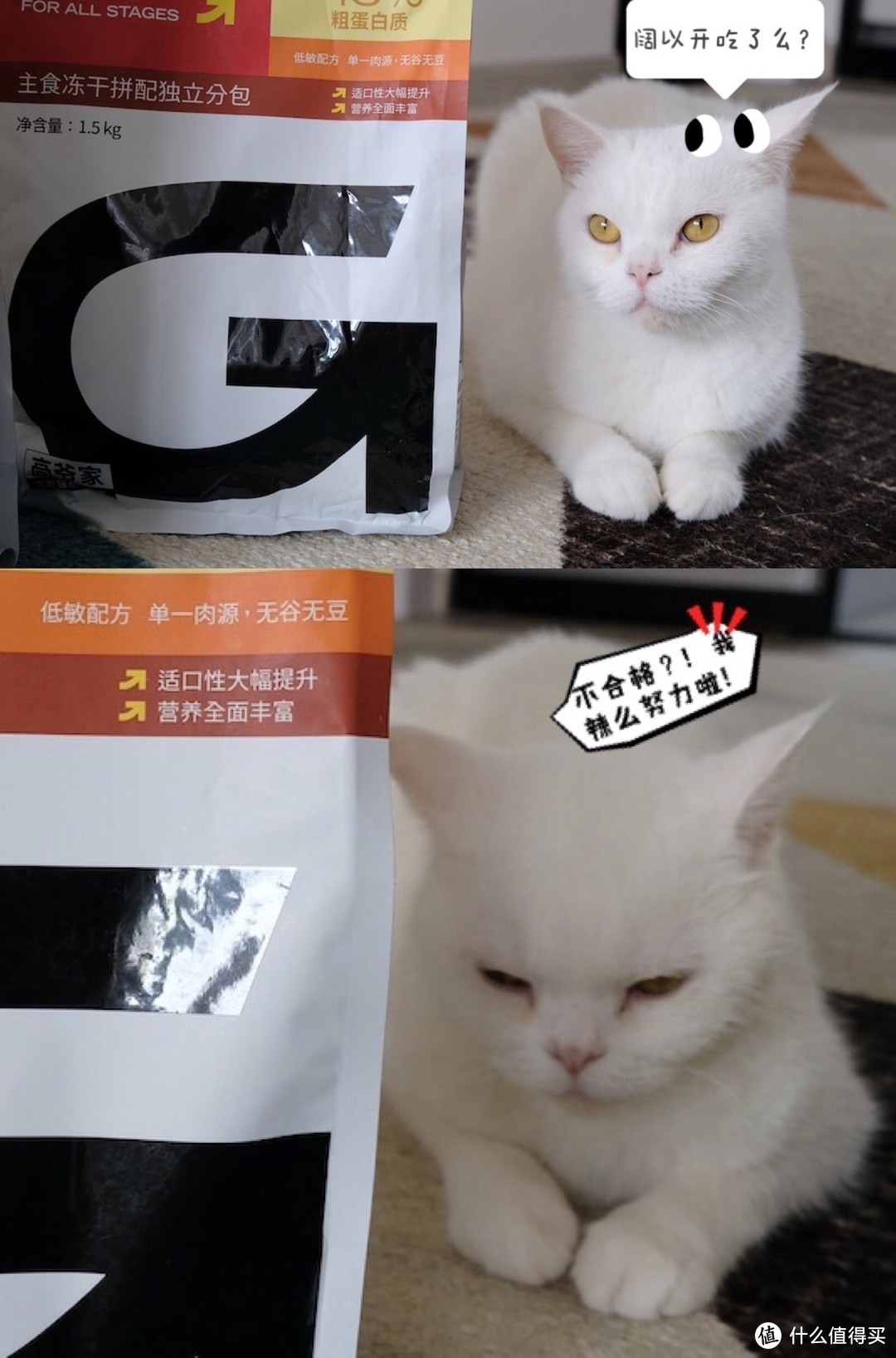 高爷家麦肯鸡鸡肉猫粮究竟好不好？毛孩子说了算！