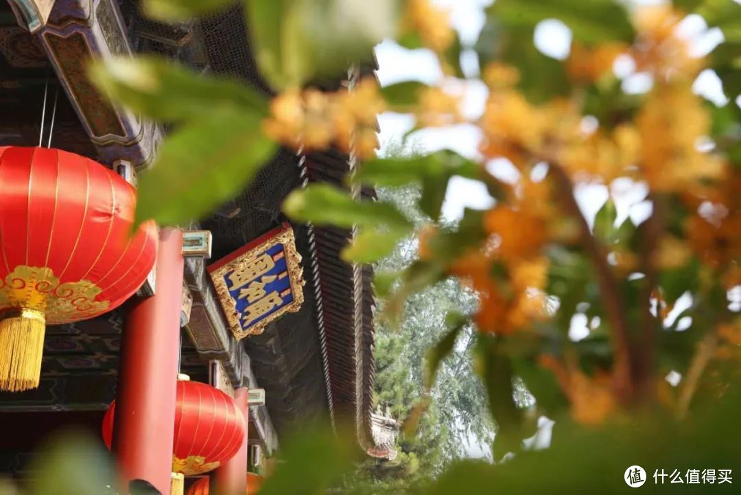 颐和园每年9月中下旬至十月上旬，都会举办桂花文化节。©颐和园官方微博
