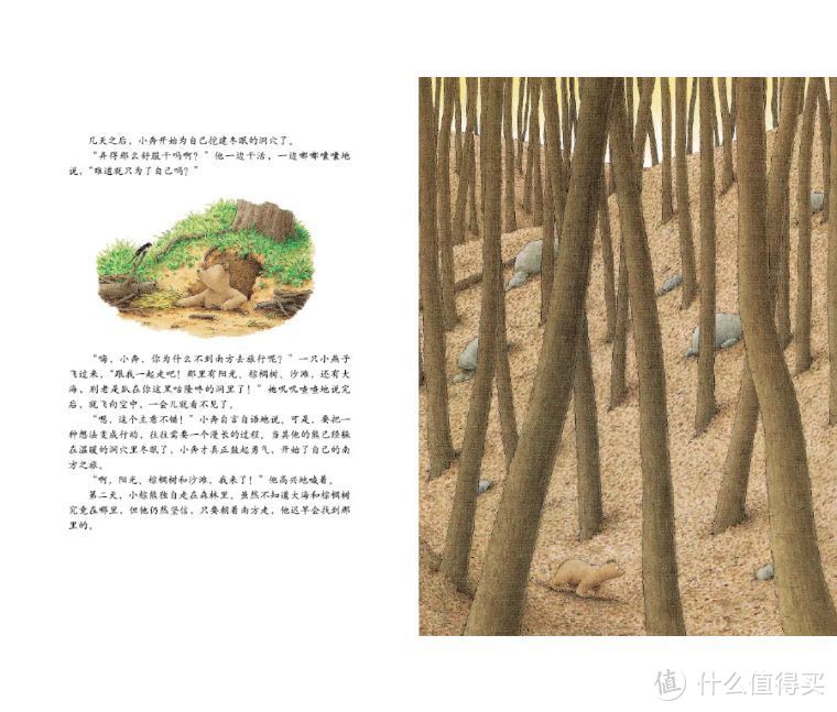 宝宝绘本|小棕熊的梦