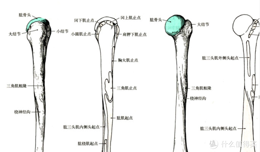 健身先健脑，6本健身本书籍推荐