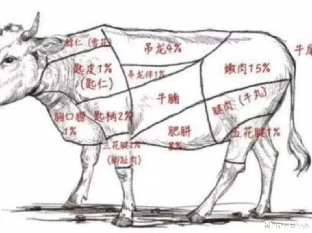 牛肉面