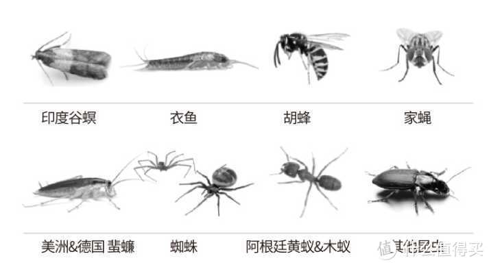 蚊子饿急了会无视蚊香吗?