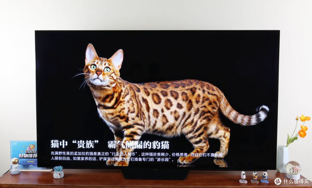 小米电视大师 77英寸OLED V21简评