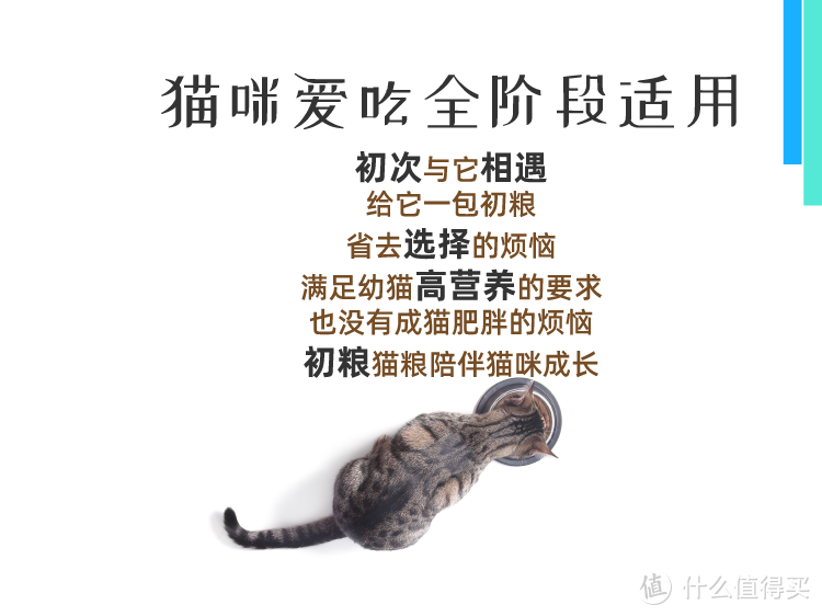 初粮无谷猫粮 鸡肉三文鱼低敏美毛润肠道