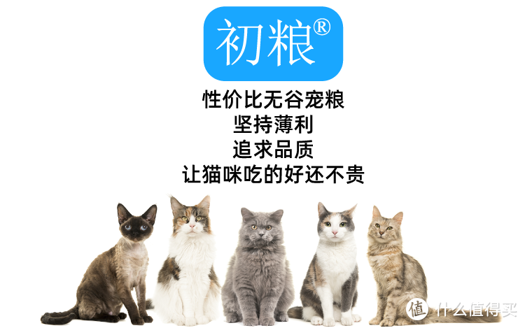 初粮无谷猫粮 鸡肉三文鱼低敏美毛润肠道