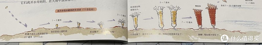 双台风来袭上海，儿子却乐坏了，这套绘本给孩子做了台风科普