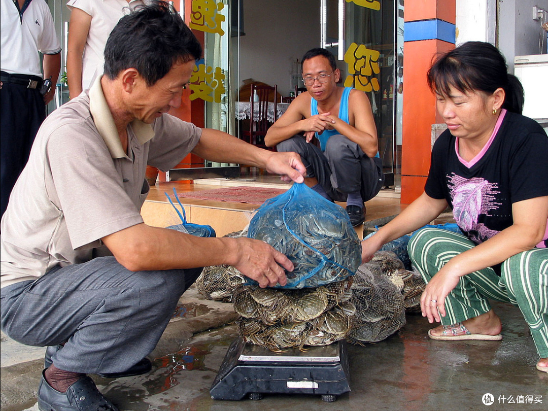 买螃蟹时遇到公蟹和母蟹怎么选蟹农解析分清时间节点很重要