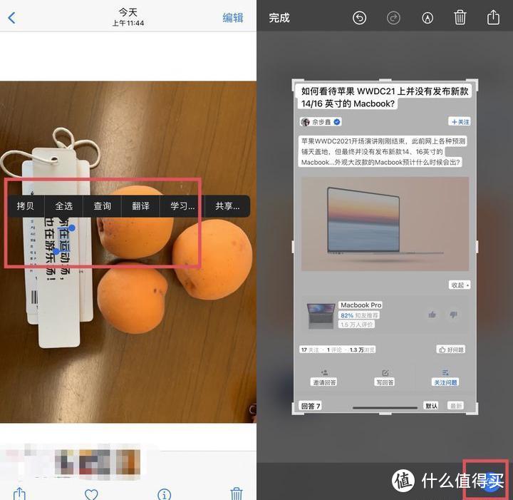 iOS 15正式版发布后，功能毫无亮点界面还变丑？网友：还是不升了！