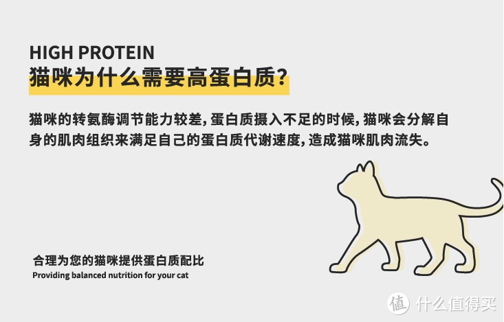 萌货势力榜｜诚实一口、阿飞和巴弟、江小傲这些网络风大的猫粮怎么样？