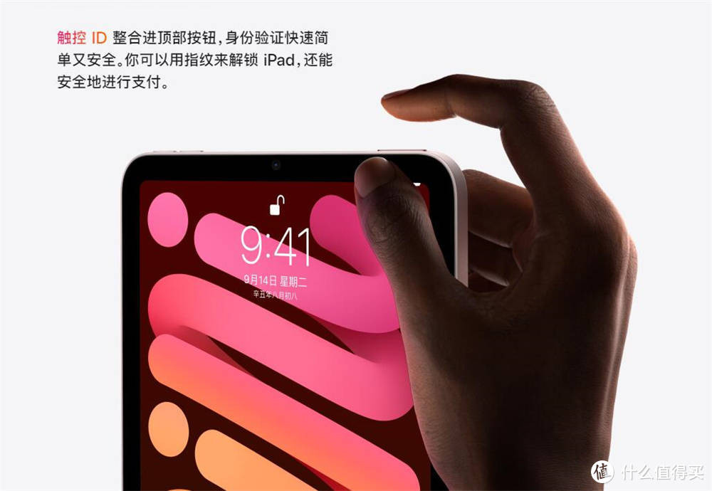 全新iPad mini发布，尺寸更小巧，网友：仿佛是大号iPhone