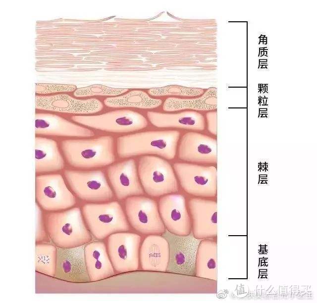 众里寻他 篇十：彼得罗夫南瓜酵素面膜--黑头克星（付对比图）