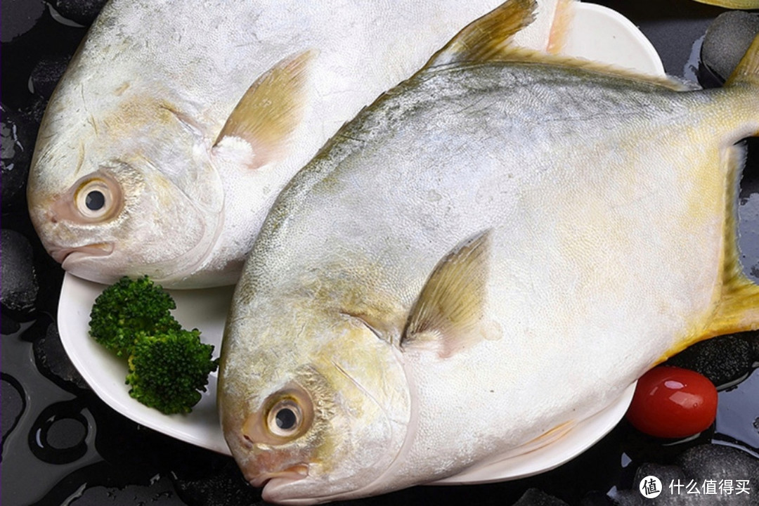 肉质最鲜嫩的7种鱼，营养鲜美鱼刺少，小孩常吃，强健体质