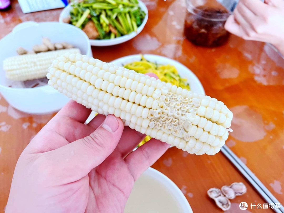 朋森多功能电煮锅，满足家居烹饪小需求