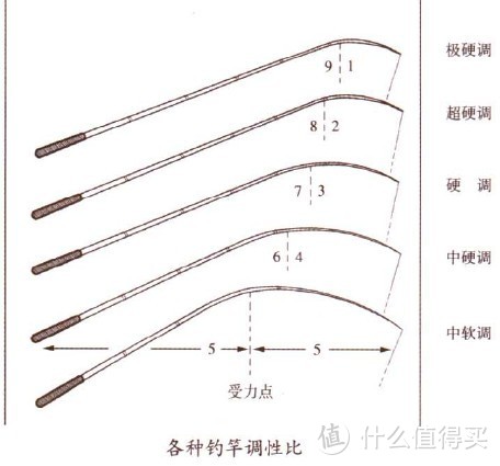 钓圈第12期：软竿和硬竿该如何区别与选择？