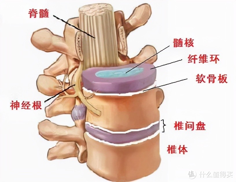 一,腰椎病与坐姿