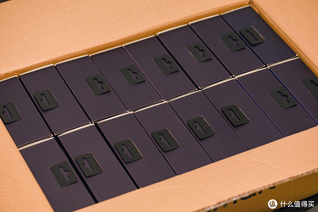 16颗量子灯MIX整整齐齐的码在包装箱中。
