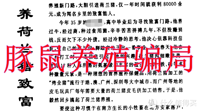 除了不方便陪你逛街，别的甚至更好——仓鼠类宠物饲养漫谈篇一：购买