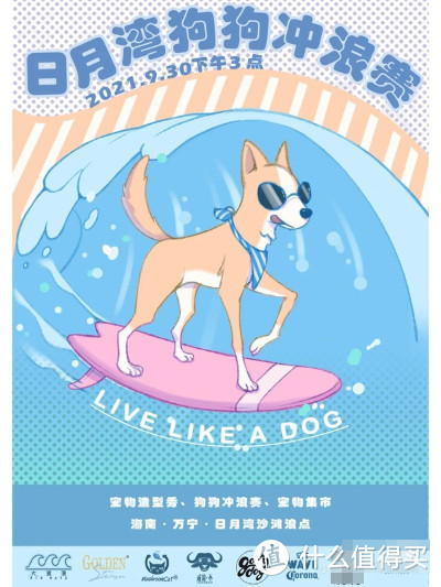 狗狗盛世！狗狗冲浪大赛来啦～和狗狗一起冲浪要准备什么？