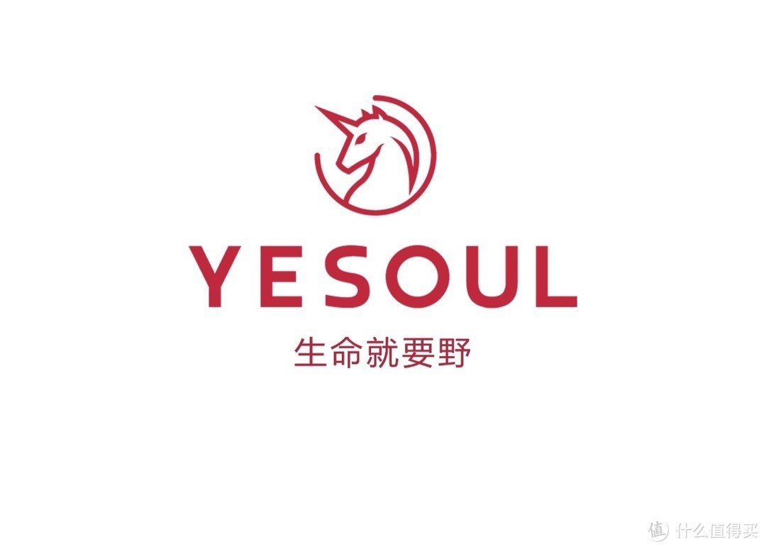 YESOUL野小兽M1智能动感单车——把健身房“搬”进家