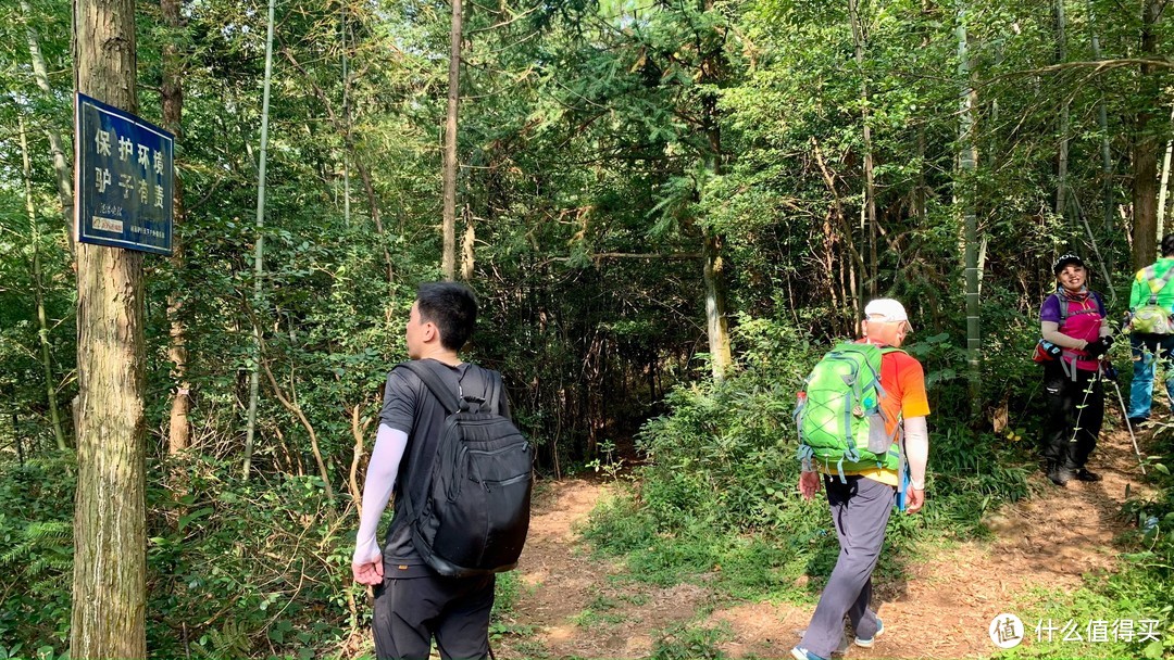 如何登上庐山最险峻的幡杆峰，附出行攻略（建议收藏）