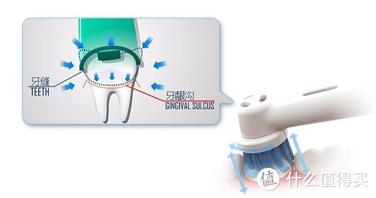 电动牙刷中的异类，欧乐B的刷头为什么是圆的？（含刷头选择攻略）