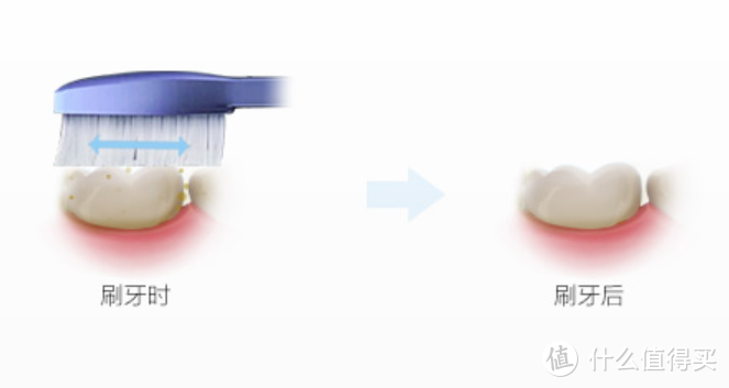 电动牙刷中的异类，欧乐B的刷头为什么是圆的？（含刷头选择攻略）