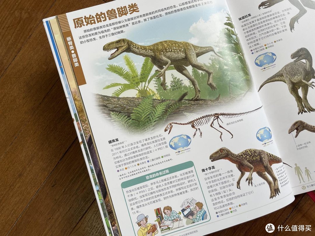 如果大雄有恐龙百科全书，那一定就是这本书~这本关于恐龙的大百科，大而全又美，4岁可读
