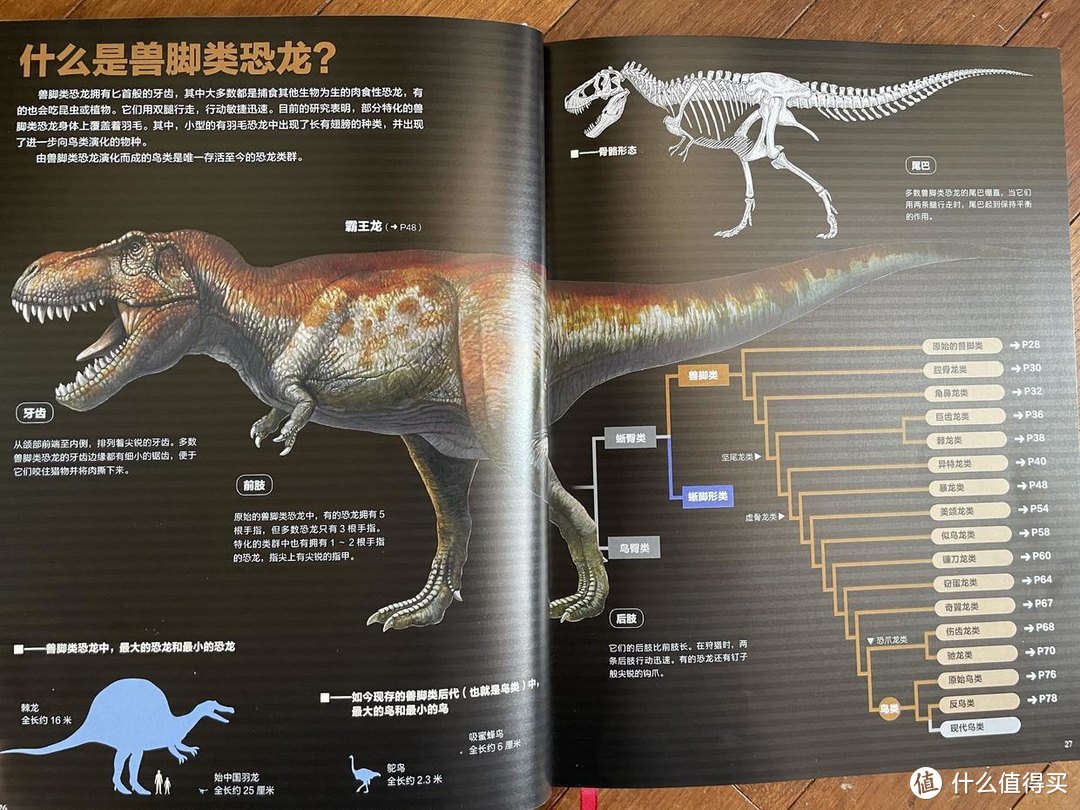 如果大雄有恐龙百科全书，那一定就是这本书~这本关于恐龙的大百科，大而全又美，4岁可读
