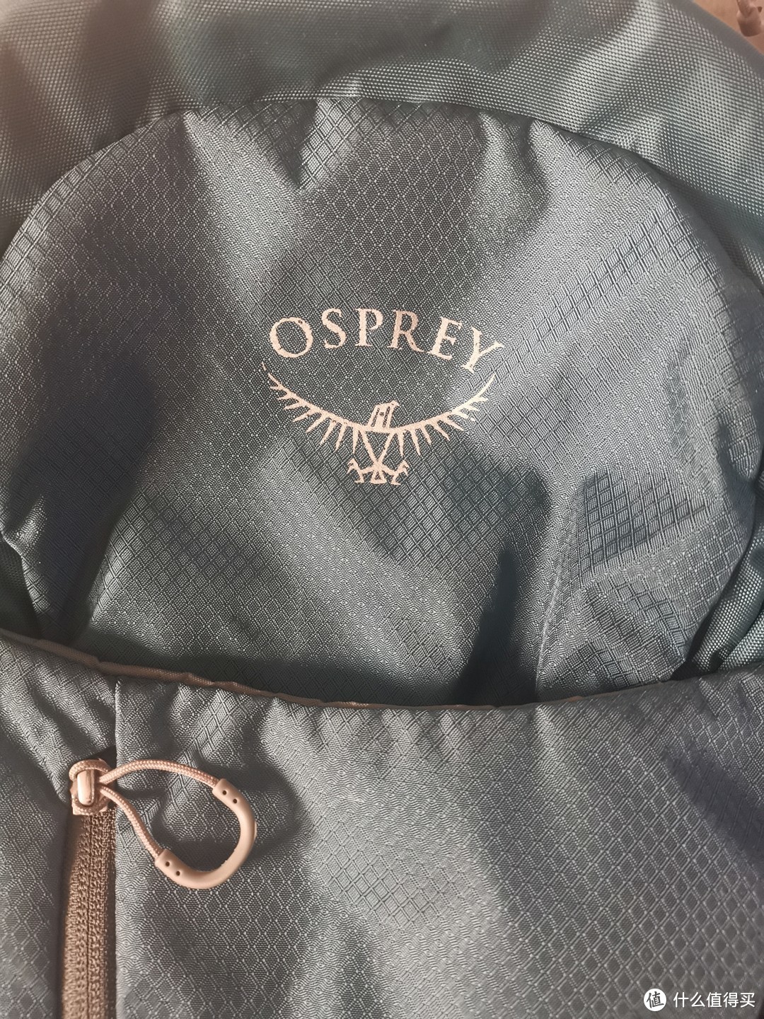 Osprey Kestrel 小鹰 38L 徒步背包_户外背包_什么值得买